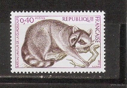 ФФ1 Франция 1973 Енот