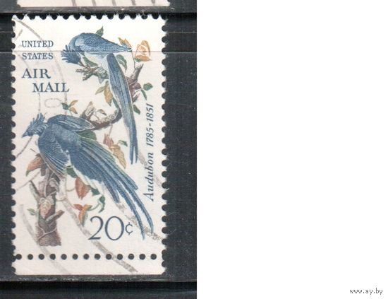 США-1967, (Мих. 920) , гаш. ,  Фауна, Птицы, Живопись (одиночка)
