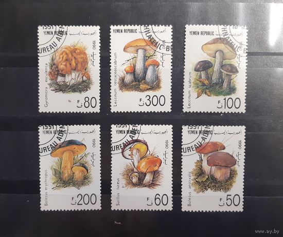 Йемен. 1990 год. Флора. Грибы (94)