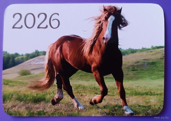 Лошадь. Календарик, глянец, 2026. Траско