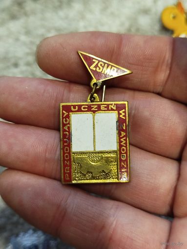 Социалистический союз польской молодежи