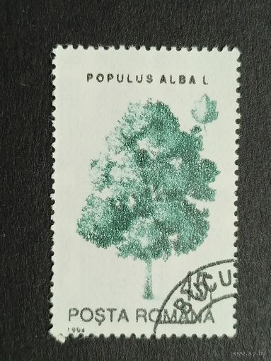 Румыния 1994. Деревья. Тополь