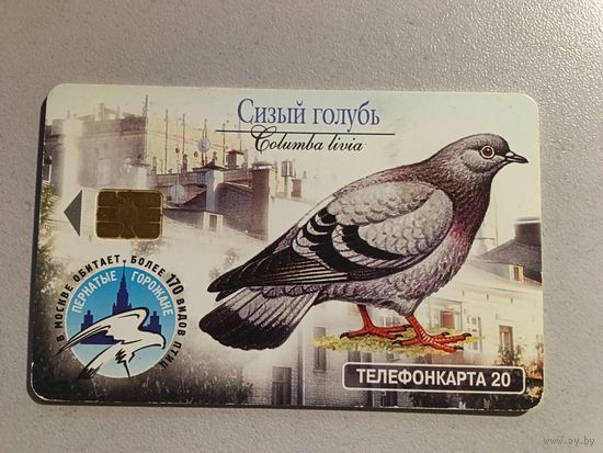 Телефонная карта.