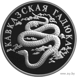 Красная книга: Кавказская гадюка