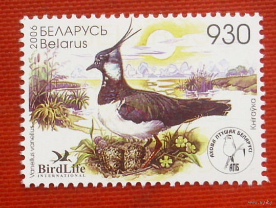 Беларусь. Птица года. Чибис ( 1 марка ) 2006 года.