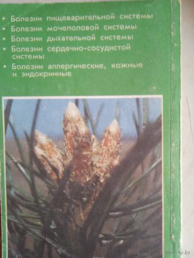 Лечение и профилактика растительными средствами 2