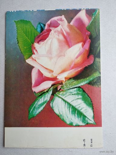 Открытка ,, плздравляю,, украина,1975 г. двойная ,чистая