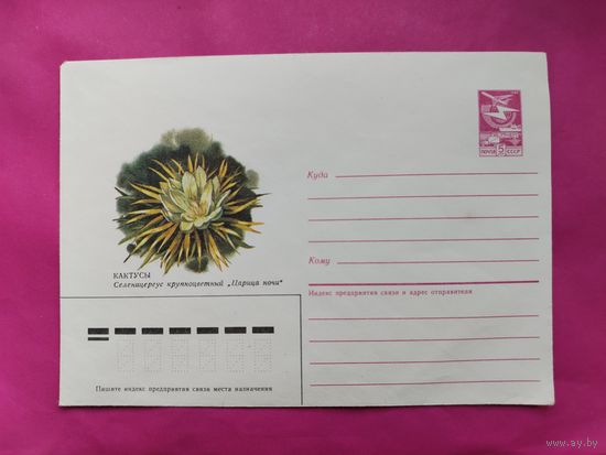 Конверт. Чистый. Кактусы. 1985 года. Панченко. 2533.