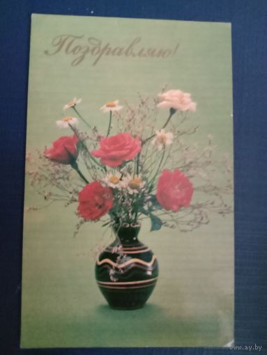 Открытка Поздравляю 1982 Фото Шарова Чистая