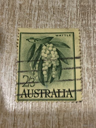 Австралия. Флора. Wattle. Марка из серии