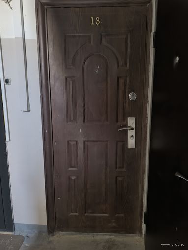 Дверь металлическая