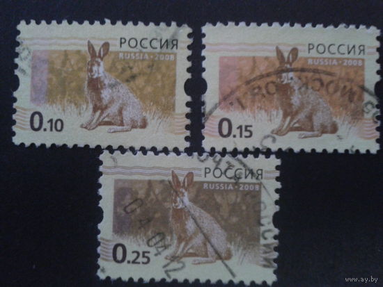 Россия 2008 стандарт, зайцы
