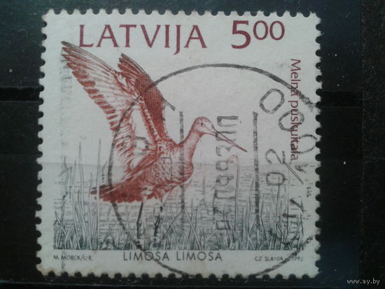 Латвия, 1992. Скопа