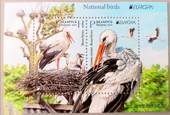 Белый аист. Национальные птицы. 2019. Беларусь.