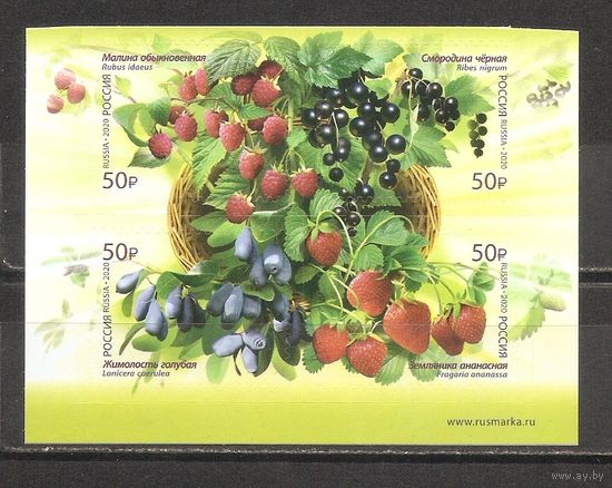 ФФ3 Россия 2020 Ягоды самоклейки