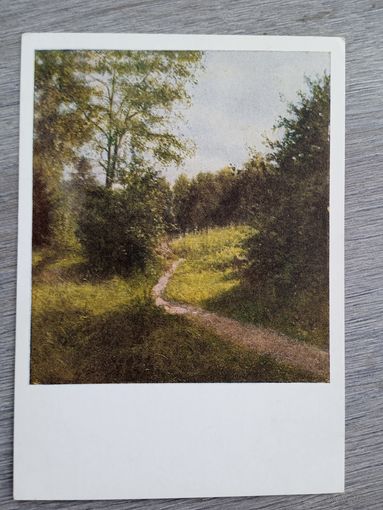 1955. Невежин. Дорожка