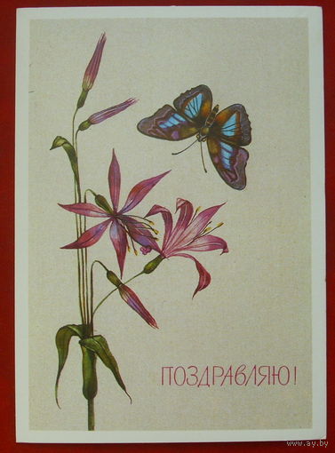 Поздравляю! Чистая. 1989 года. Савельева. *110.