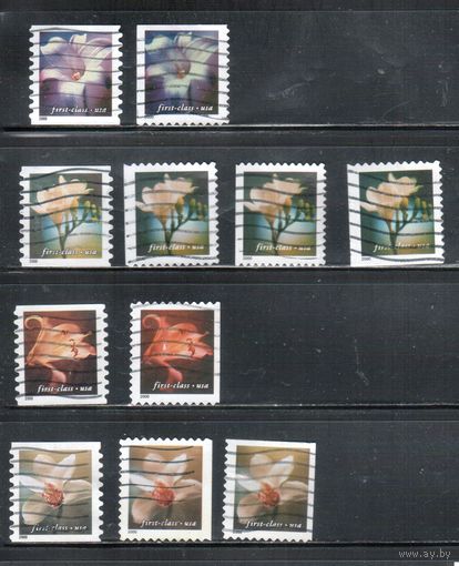 США-2000 (Мих.3395-3398) , гаш. , Стандарт, 1-й класс, Цветы (полная серия), зубцовки
