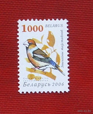 Беларусь. Стандарт. ( 1 марка ) 2006 года. 10-1.