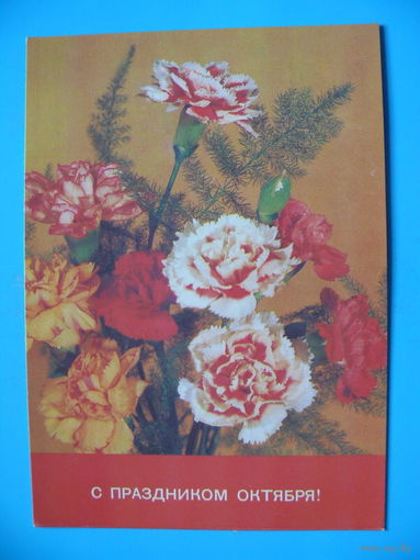 Дергилев И.(фото), С праздником Октября! 1988, чистая.