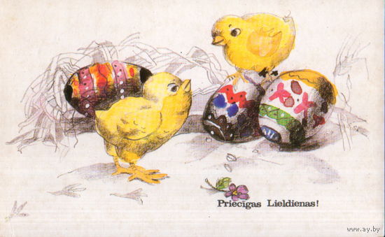 Чистая открытка Латвийская ССР "Пасха. Цыплята"