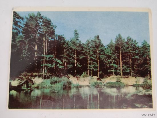 Открытка с фото  А.и Т.Ананьиных на бел. языке, 1965г.