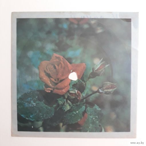 Гибкая пластинка с песней "Каракум" Исп. Игорь Саруханов. Студия звукозаписи Киев.