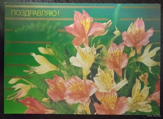 Открытка СССР 8