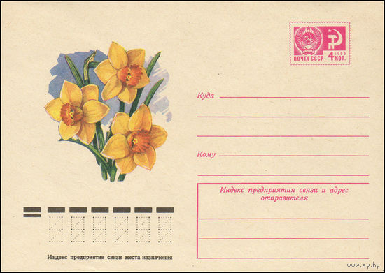 Художественный маркированный конверт СССР N 10512 (05.05.1975) Нарциссы