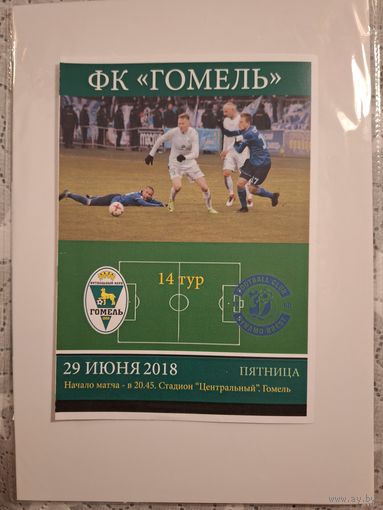 Гомель - Динамо Брест 2018