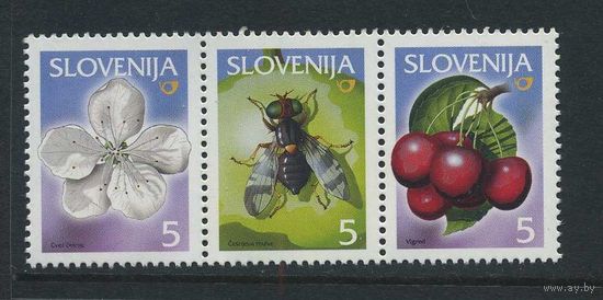 Словения **Вишня** 5612