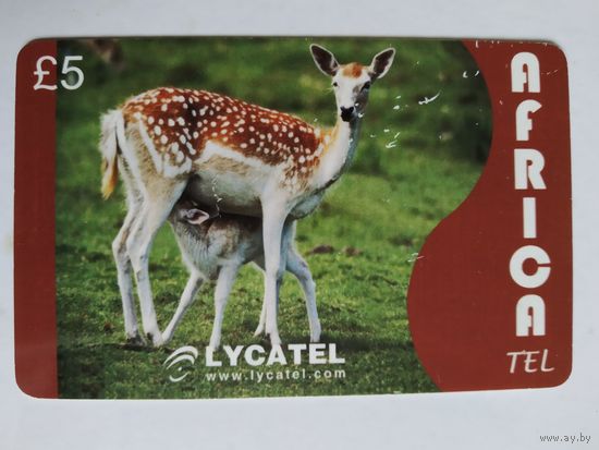 Телефонная карта. Турция