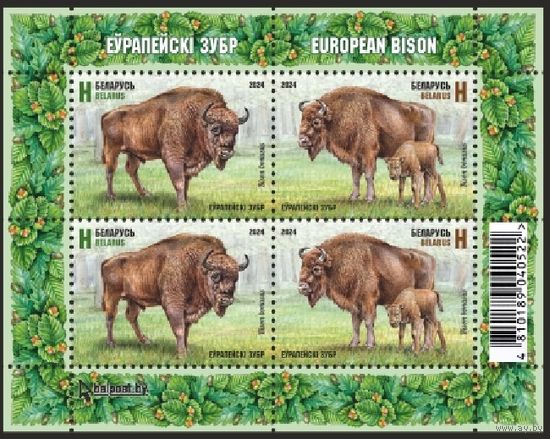 2024г Беларусь MNH Малый лист "Европейский зубр" Фауна **