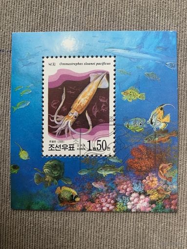 КНДР 2000. Гигантский кальмар