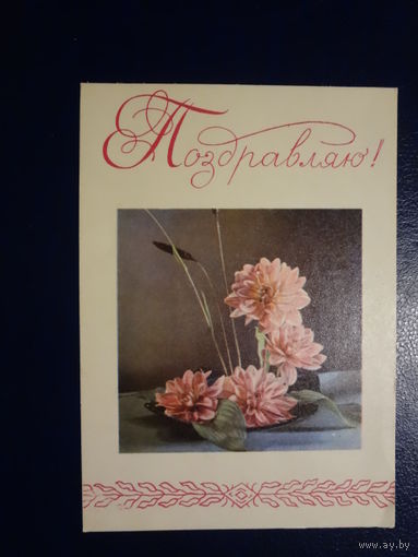 Поздравляю!  Цветы.  1968 г.  Минск.  подписанная.