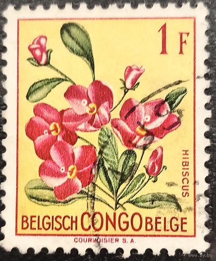 Конго. Флора. Цветы. Гибискус