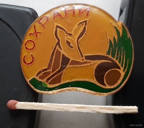 Сохрани. Ая-65