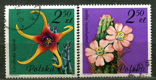 Цветы кактусов. Польша. 1981. Серия 2 марки