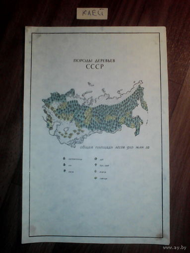 Спичечные этикетки.Гросс сувенирный.Породы деревьев СССР.1974 г.