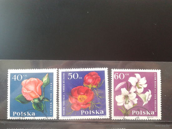 Польша 1964  Цветы