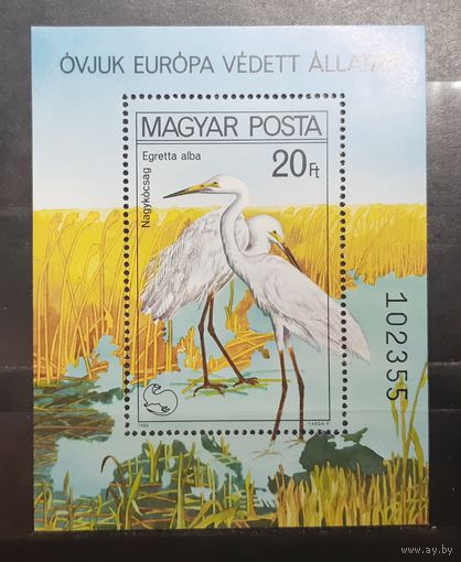 Венгрия. 1980 год. Фауна. Птицы. Блок (367)