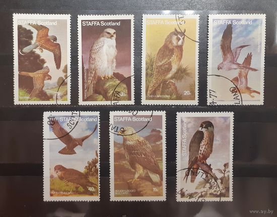 Стаффа. Фауна. Птицы (443)