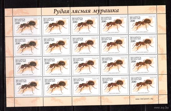 Беларусь-2002,(Мих.443) , ** , Фауна. Муравей, Лист