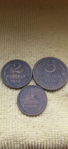 Копейки 1924 года