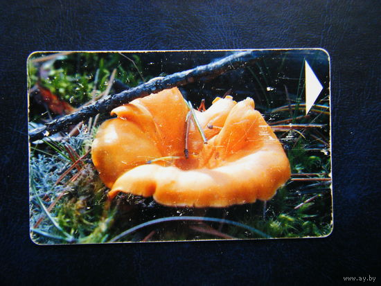 Т. карточка.