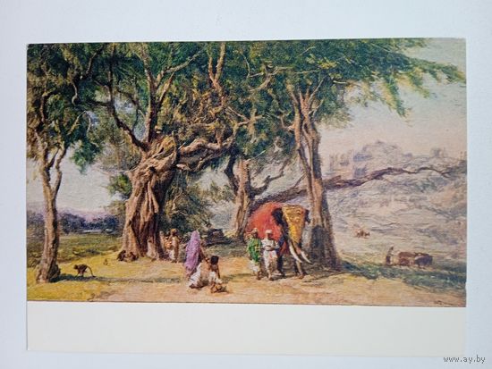 1955. Финогенов. Утром на дороге из г. Банглори в Майсор