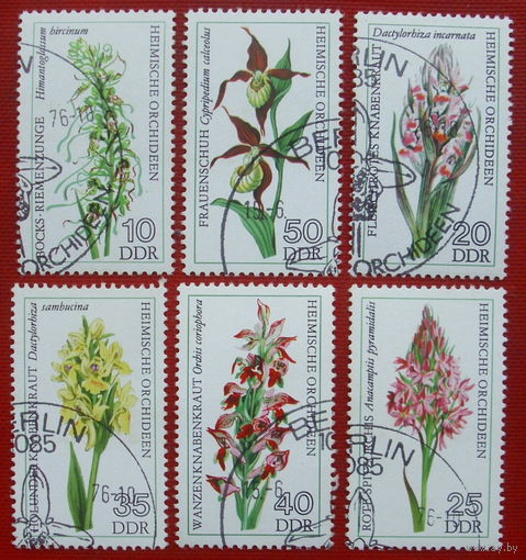 ГДР. Цветы. ( 6 марок ) 1976 года. 1-20.