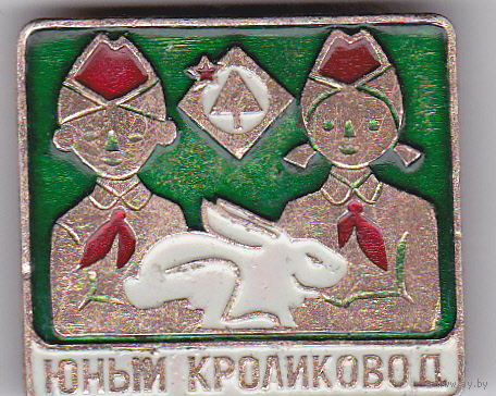 Юный кроликовод.