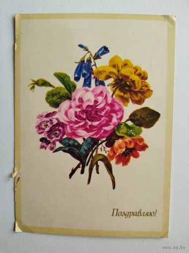 Поздравляю! Пионы. 1980 год. Подписана