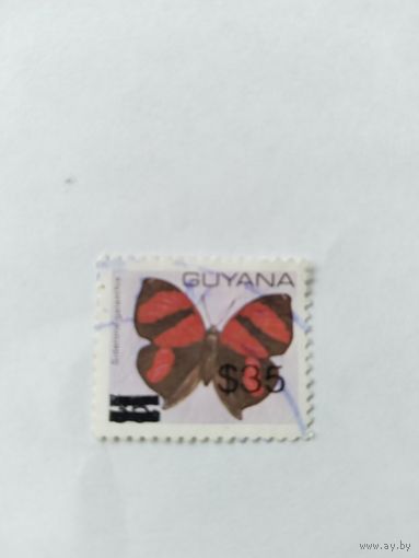 Гайана 1981 н/п бабочка
